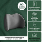 Coussin Dorsal Premium - Confort Absolu du Dos