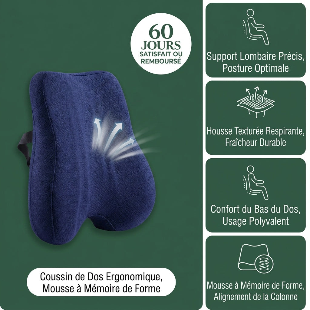 Coussin Fauteuil Pro - Support Assis Bureau Confort