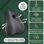 Coussin Soutien Longue Durée - Dos Protégé 24h