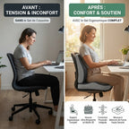 Ensemble Lombaire + Assise Premium